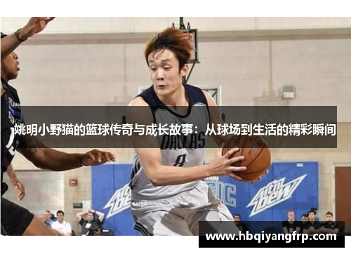 姚明小野猫的篮球传奇与成长故事：从球场到生活的精彩瞬间